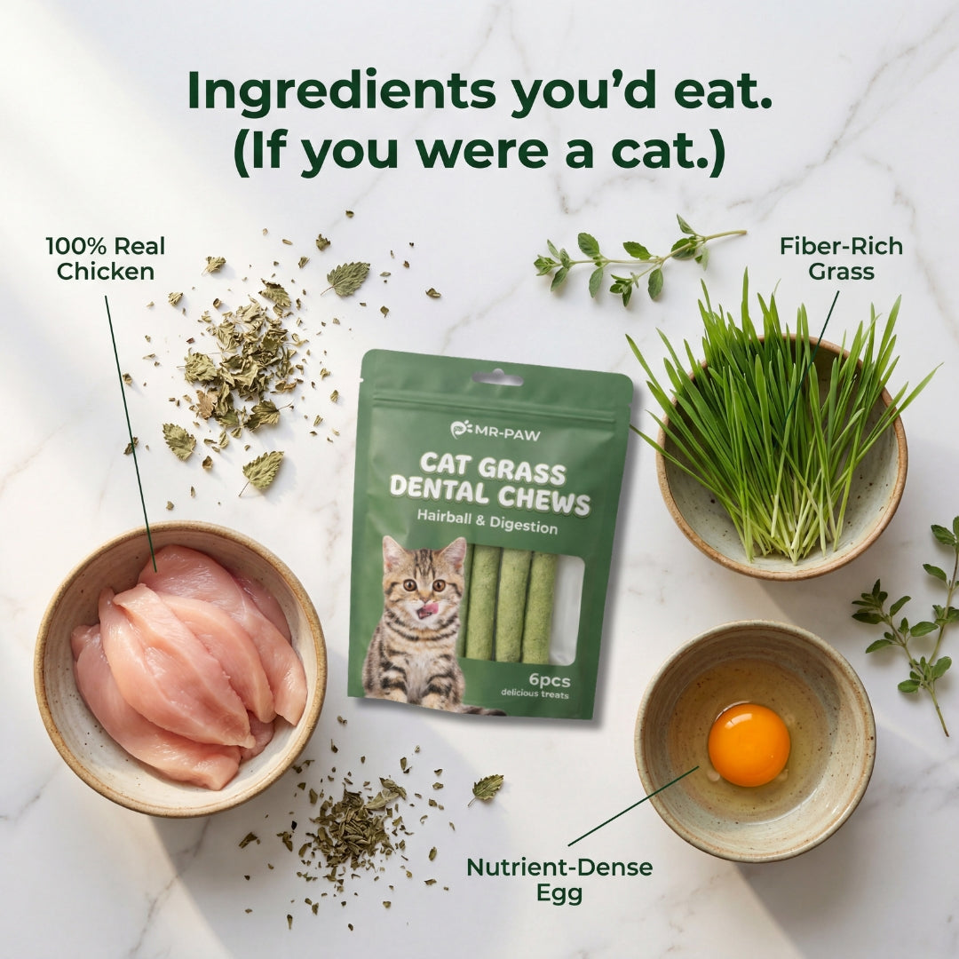 Cat Dental Sticks - Cleans Teeth. Ends Hairballs. Naturally.