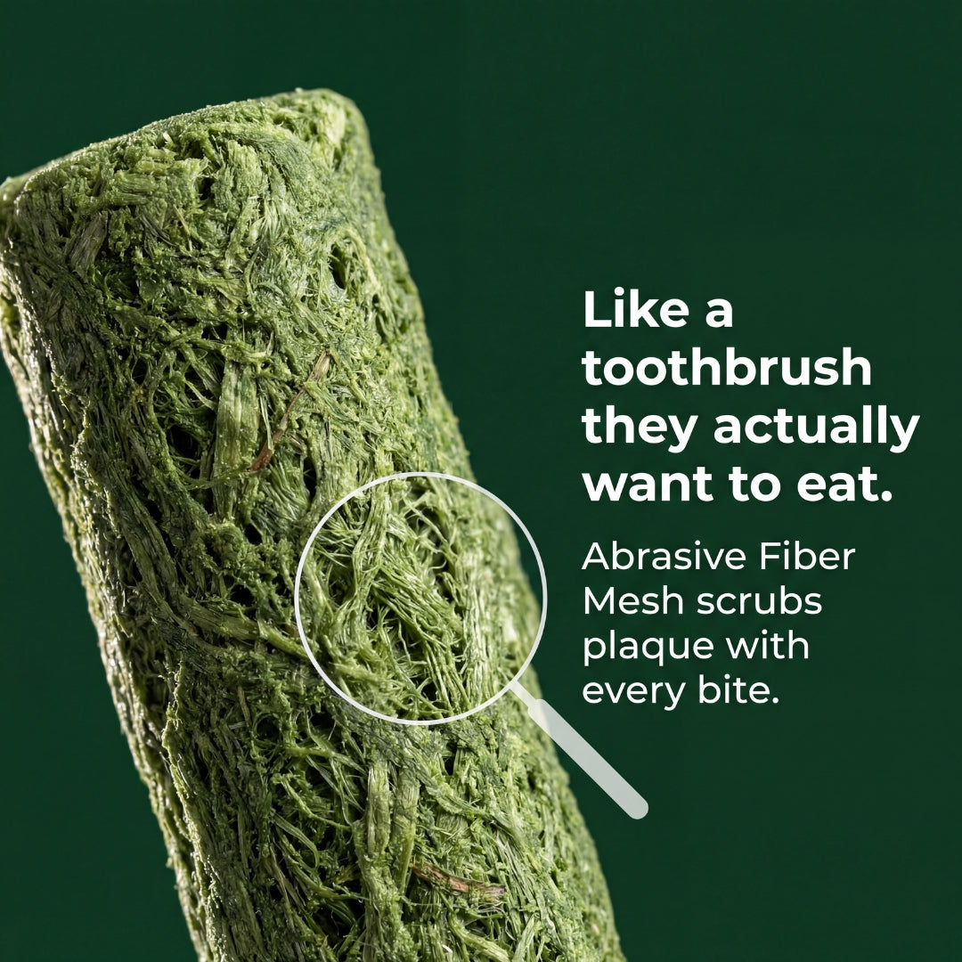 Cat Dental Sticks - Cleans Teeth. Ends Hairballs. Naturally.